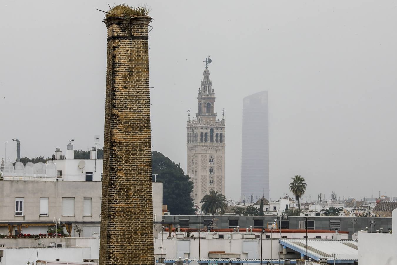 Techos de la Fábrica de Artillería de Sevilla