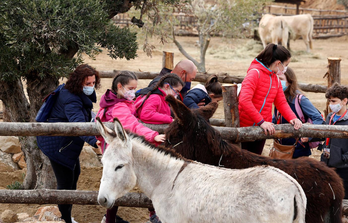 Las imágenes de la apertura de Puy du Fou