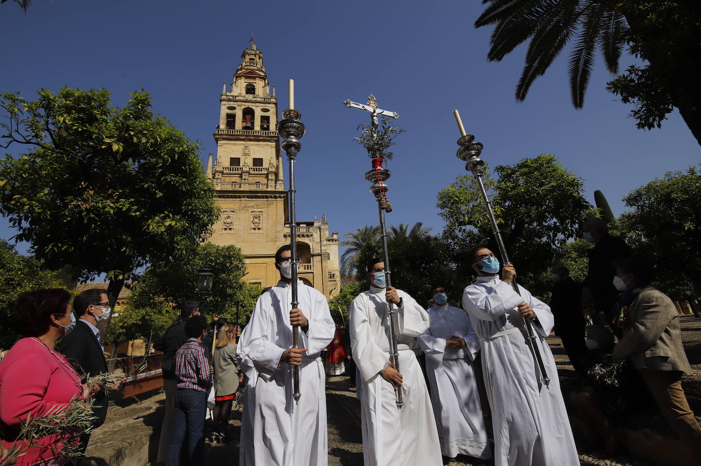 La Misa de Palmas en la Santa Iglesia Catedral de Córdoba, en imágenes