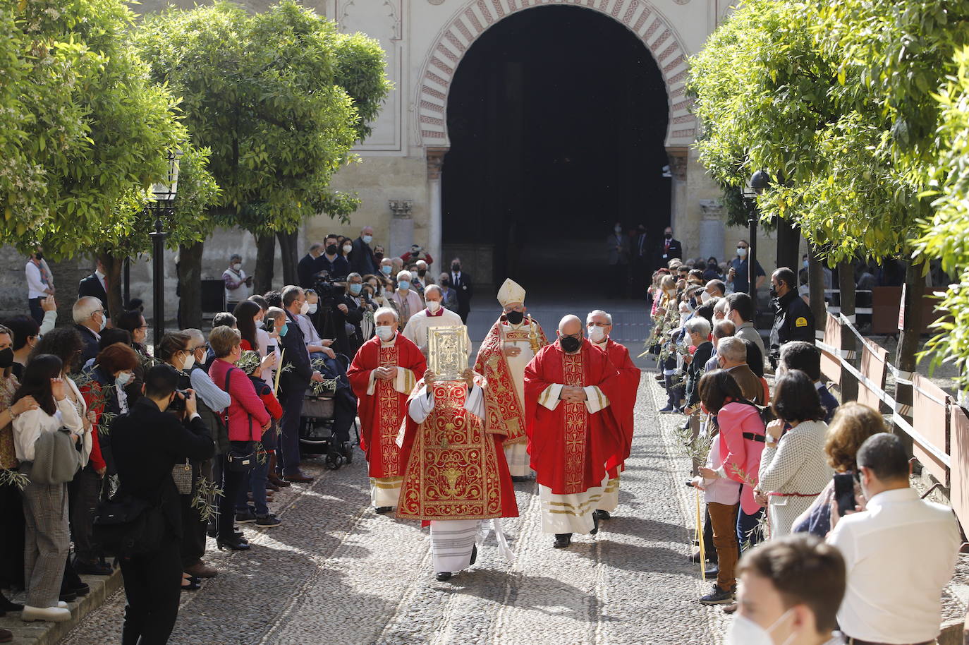 La Misa de Palmas en la Santa Iglesia Catedral de Córdoba, en imágenes