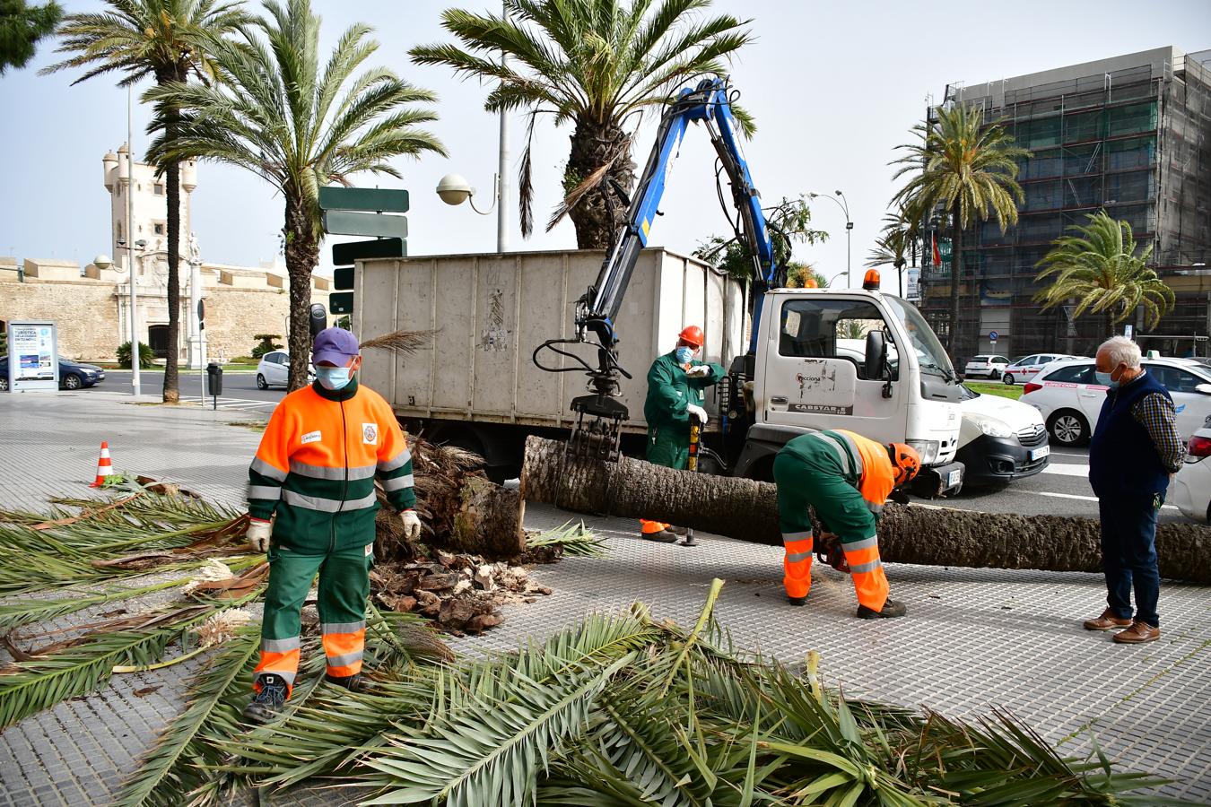 FOTOS: El temporal de Levante tira árboles y causa destrozos en Cádiz