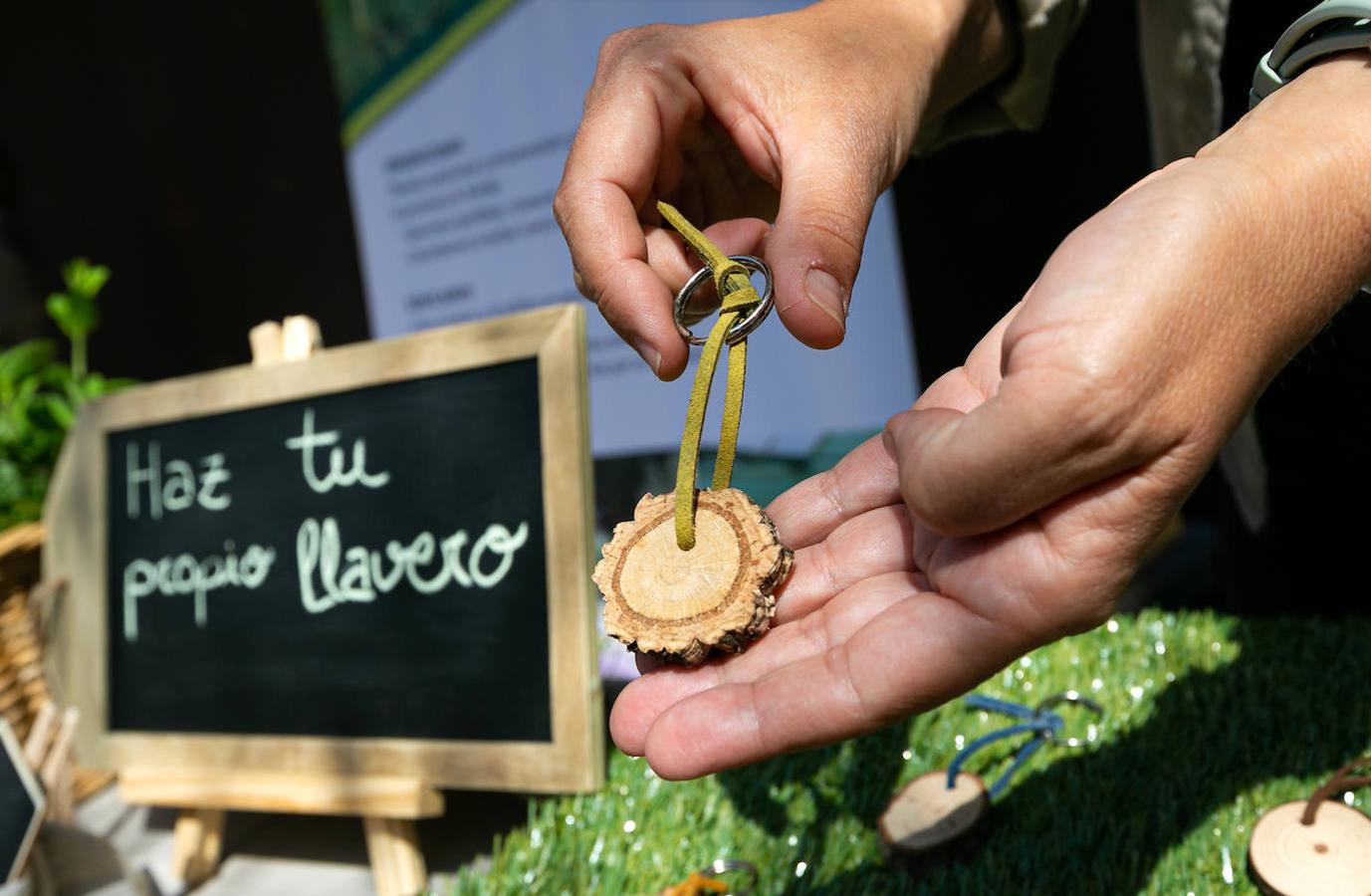 El Mercado de las Flores vuelve al Casco Histórico de Toledo