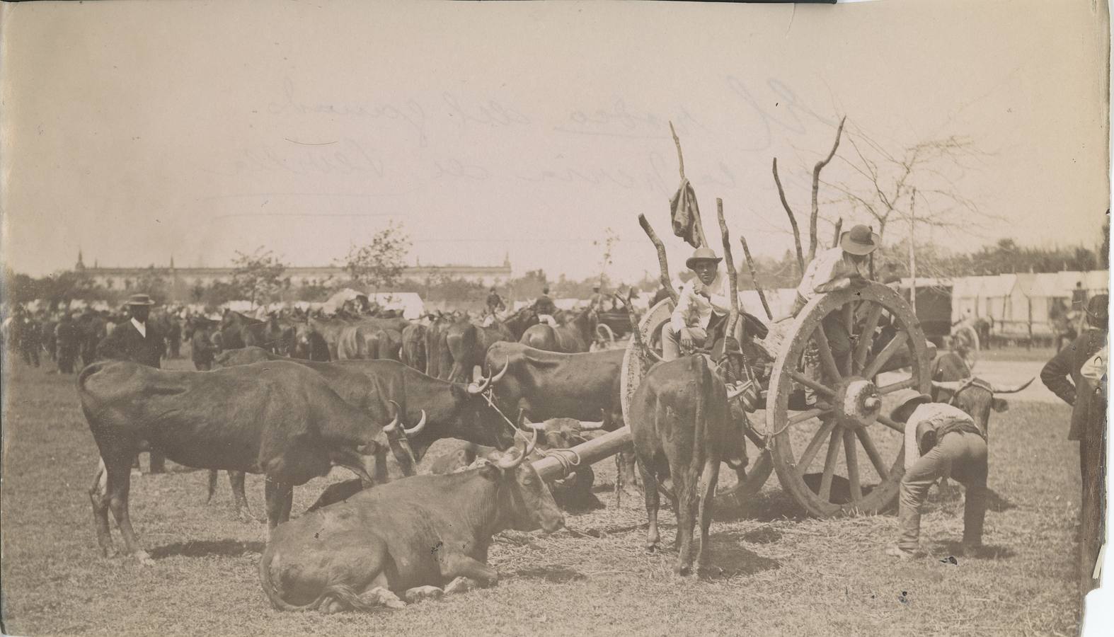 El rodeo del ganado en la la Feria de Abril de Sevilla de 1929