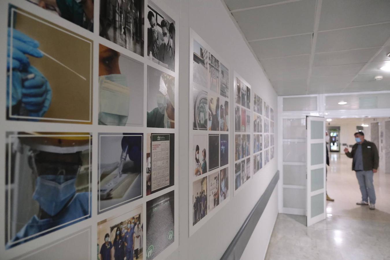 La exposición por el 45 aniversario del hospital Reina Sofía de Córdoba, en imágenes