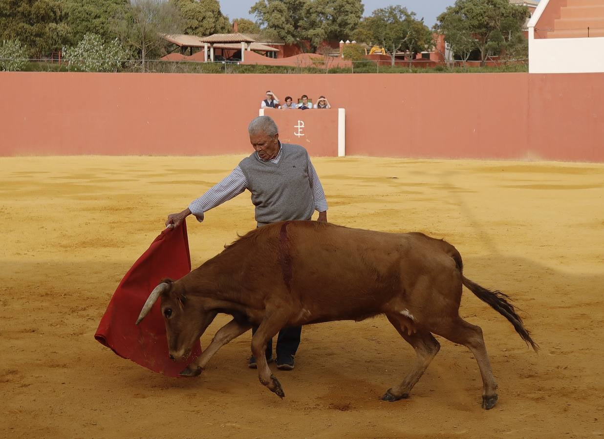 Antonio Ruiz 'Espartaco' celebró su ochenta cumpleaños toreando con los 'suyos'