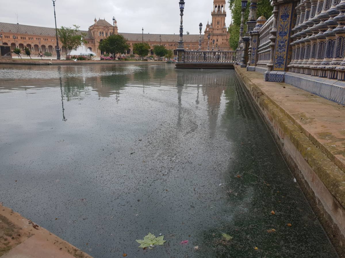 Mal estado de algunos de los parques de Sevilla