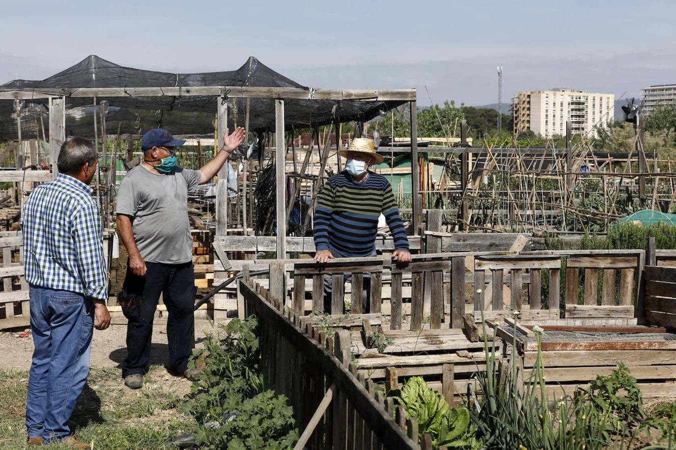 Los huertos urbanos de Córdoba, en imágenes