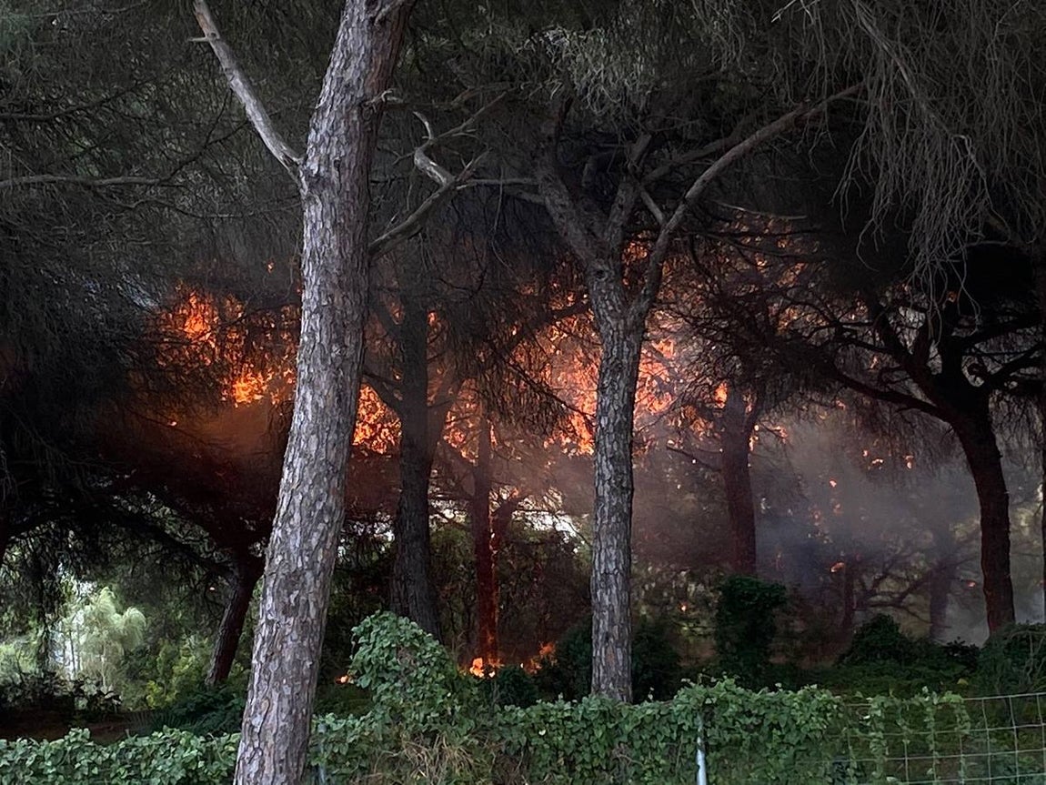 Las imágenes de la protesta de los trabajadores de Airbus en el puente y el fuego provocado en el Pinar