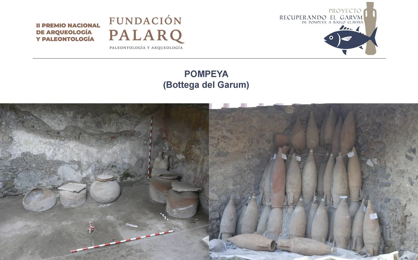 El garum, el maravilloso manjar del Cádiz romano, opta al Premio Nacional de Arqueología
