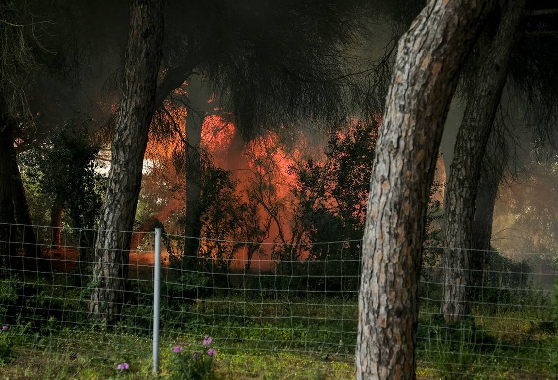 Las imágenes de la protesta de los trabajadores de Airbus en el puente y el fuego provocado en el Pinar