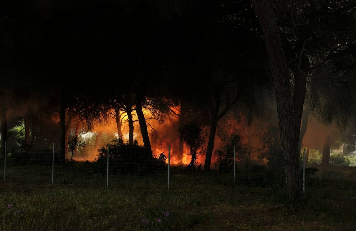 Las imágenes de la protesta de los trabajadores de Airbus en el puente y el fuego provocado en el Pinar