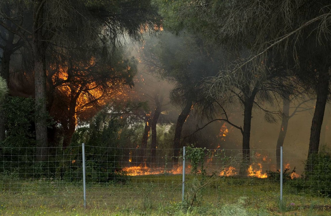 Las imágenes de la protesta de los trabajadores de Airbus en el puente y el fuego provocado en el Pinar