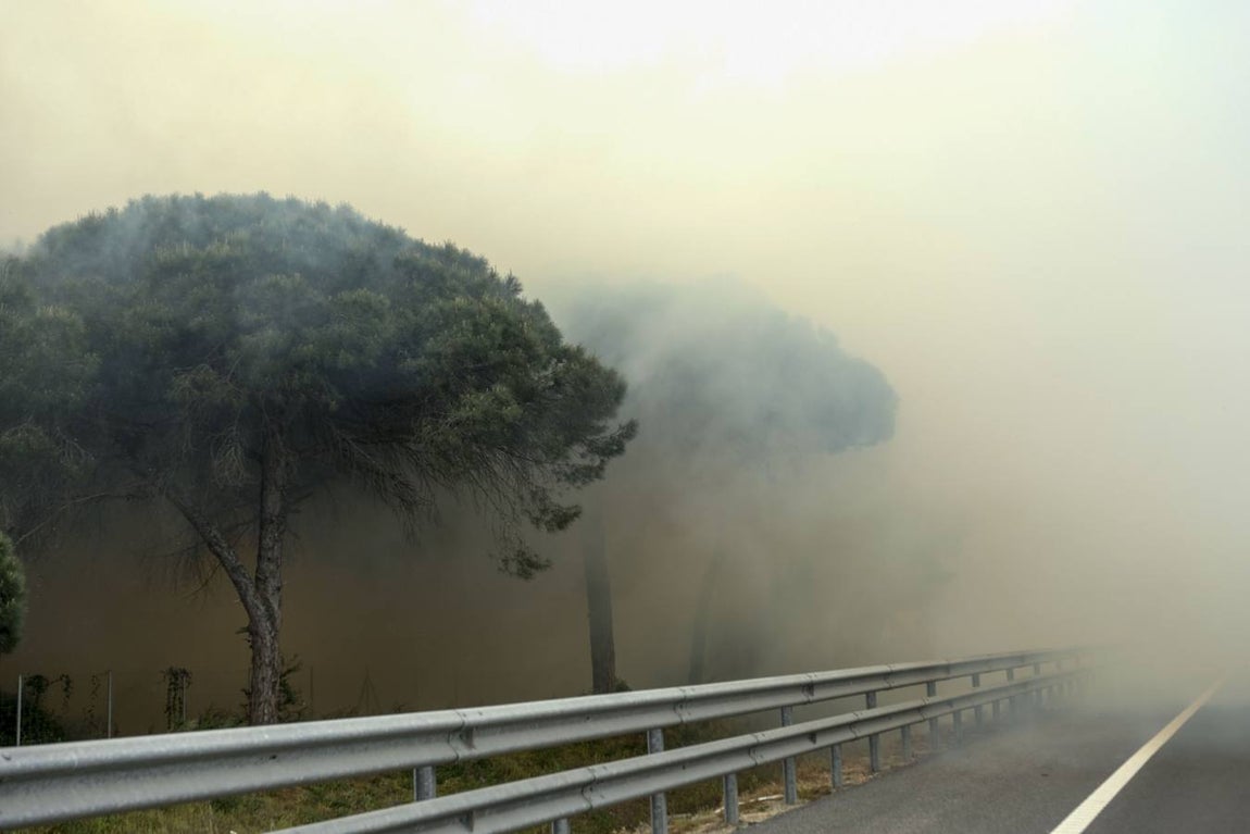 Las imágenes de la protesta de los trabajadores de Airbus en el puente y el fuego provocado en el Pinar