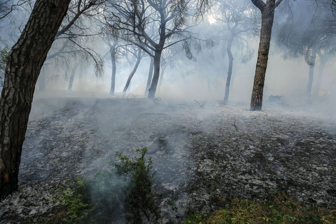 Las imágenes de la protesta de los trabajadores de Airbus en el puente y el fuego provocado en el Pinar