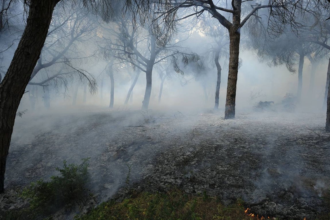 Las imágenes de la protesta de los trabajadores de Airbus en el puente y el fuego provocado en el Pinar