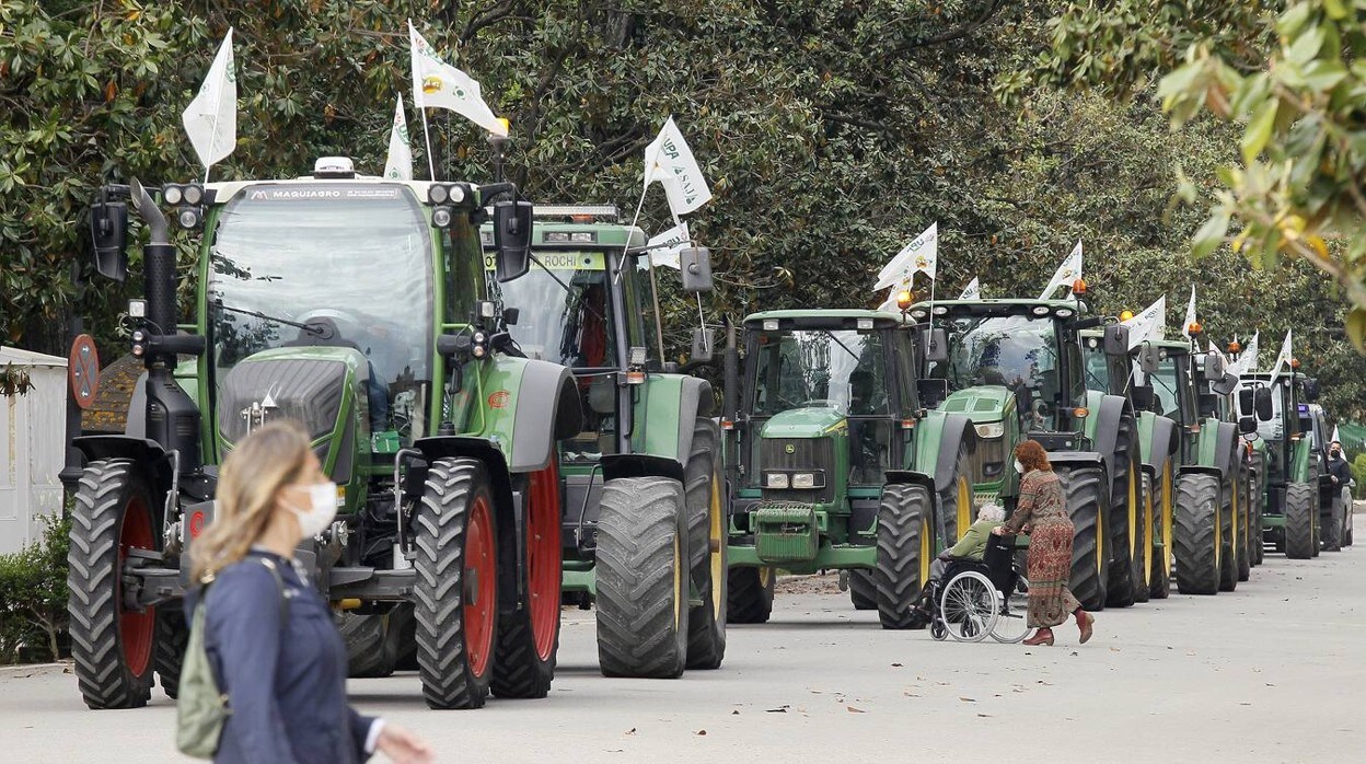 Las imágenes de la protesta de los agricultores contra la PAC en Sevilla