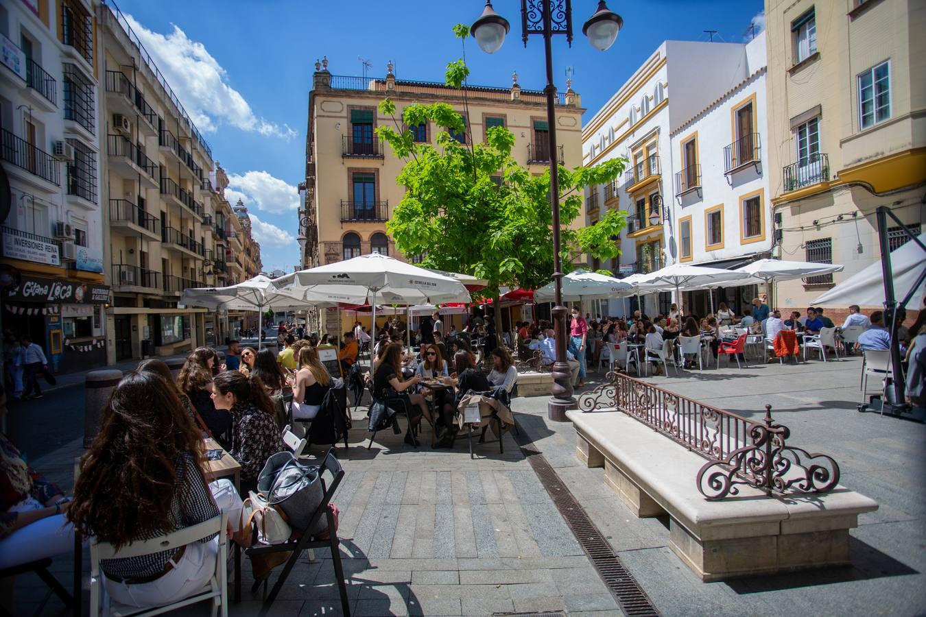 Fotogalería: Ambiente del &#039;sábado de pescaito&#039; de &#039;Feria&#039; en el Centro