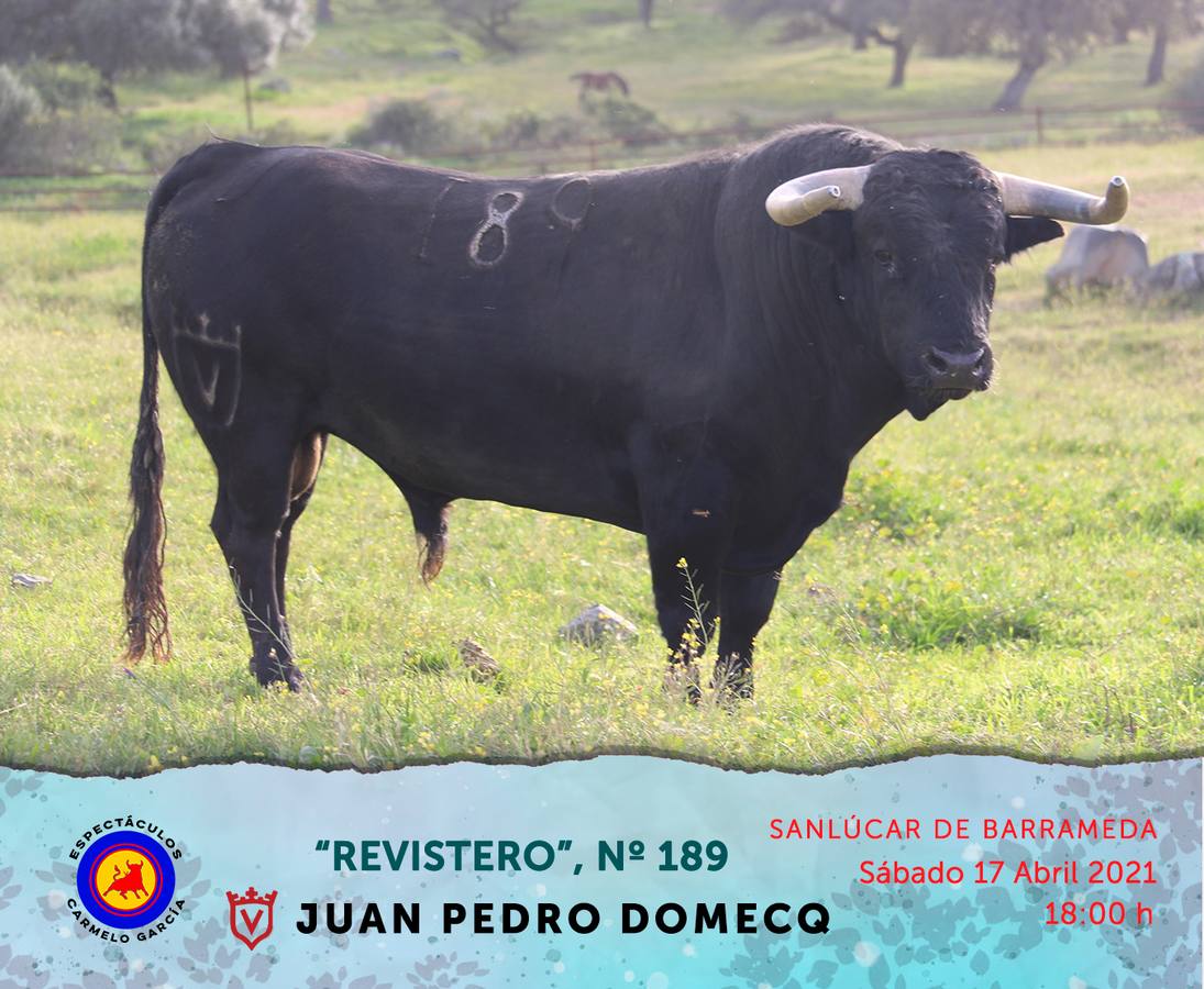 Fotos: Respondón, Manoslimpias, Faltón... cara a cara con Ponce, El Cordobés y De Justo en Sanlúcar