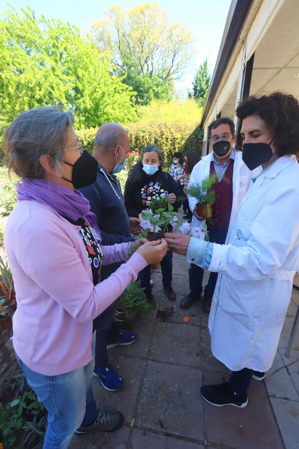 El Mercado del Trueque de plantas del Botánico de Córdoba, en imágenes