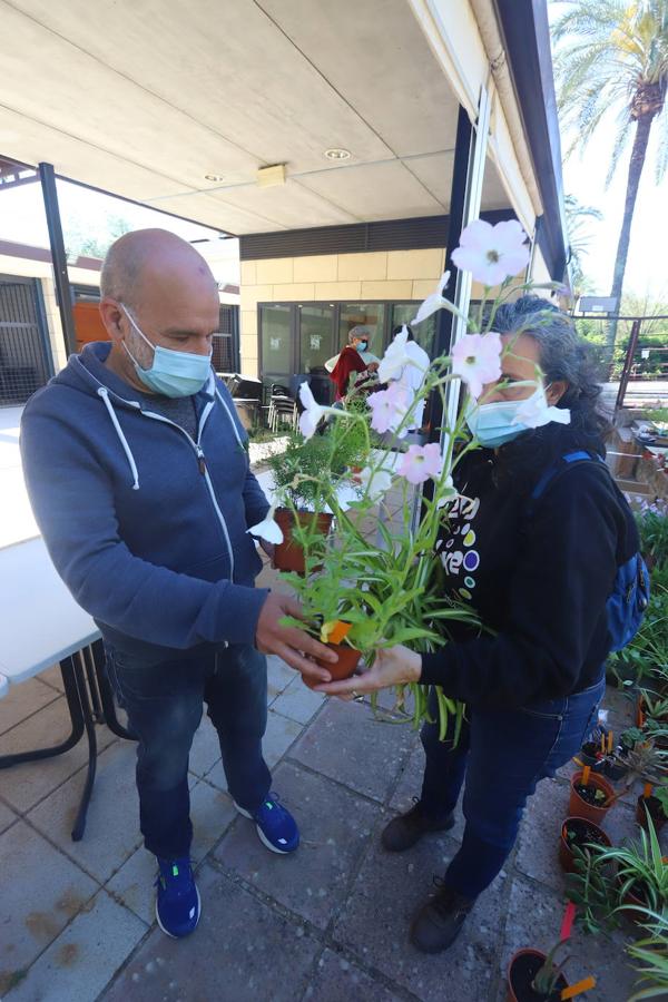 El Mercado del Trueque de plantas del Botánico de Córdoba, en imágenes