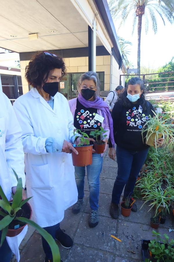 El Mercado del Trueque de plantas del Botánico de Córdoba, en imágenes