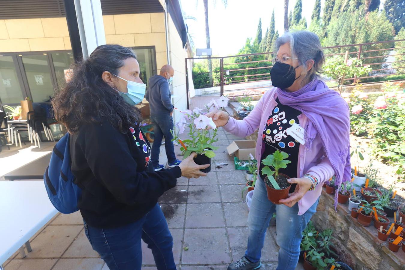 El Mercado del Trueque de plantas del Botánico de Córdoba, en imágenes