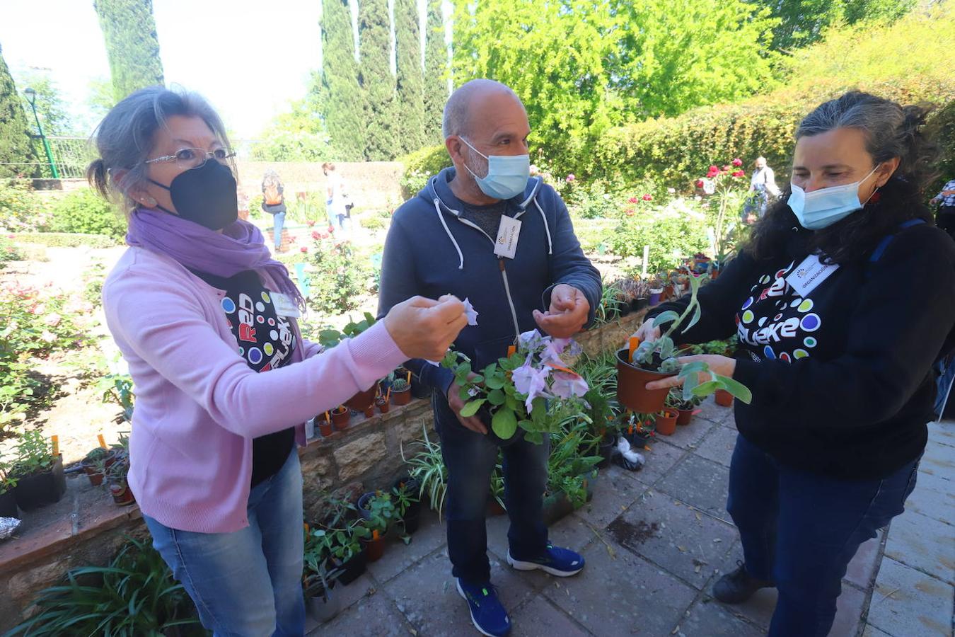 El Mercado del Trueque de plantas del Botánico de Córdoba, en imágenes