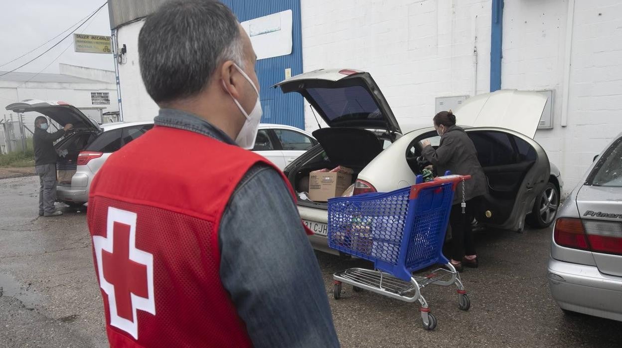 El reparto de alimentos de Cruz Roja de Córdoba, en imágenes