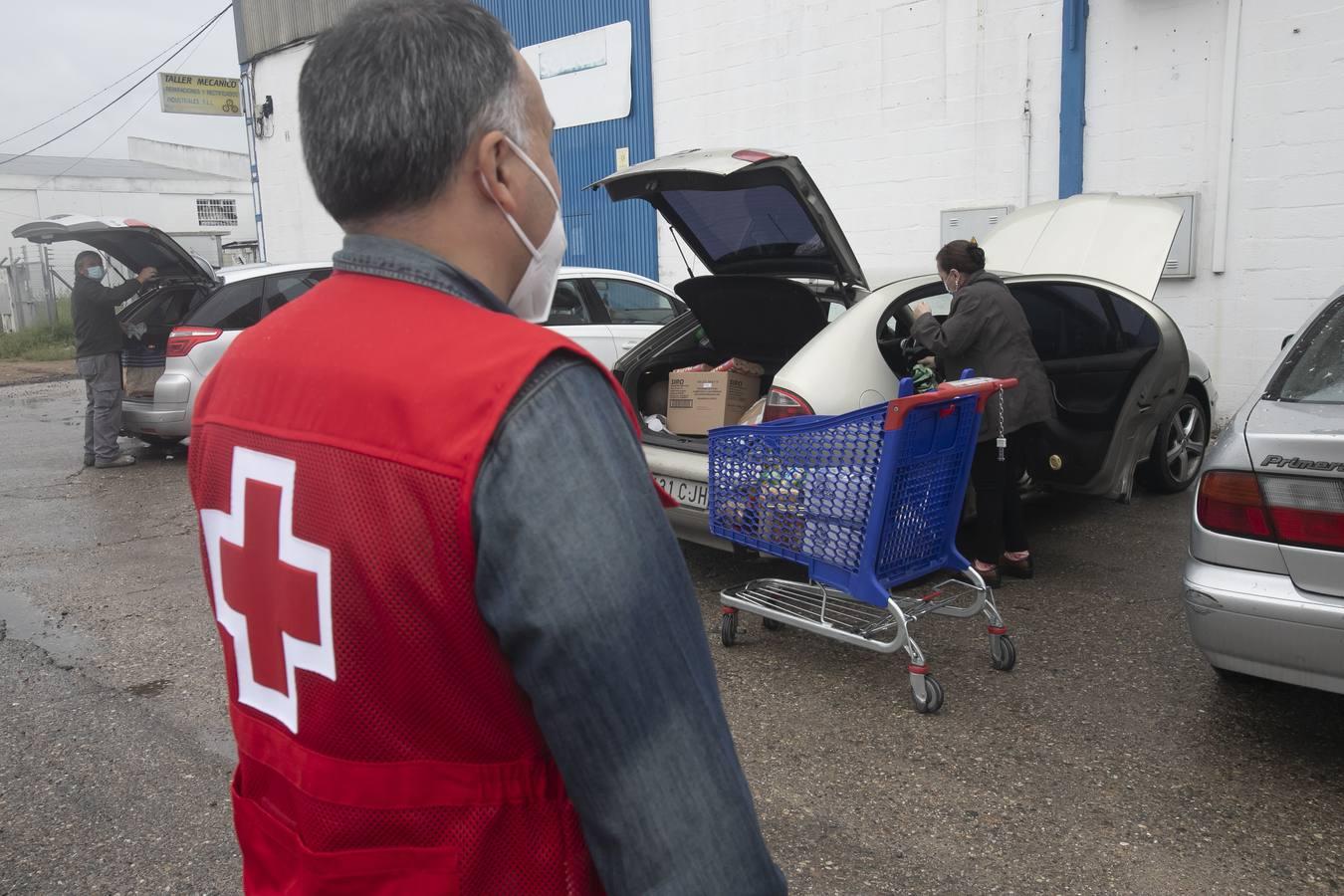 El reparto de alimentos de Cruz Roja de Córdoba, en imágenes