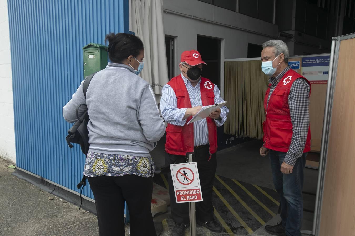 El reparto de alimentos de Cruz Roja de Córdoba, en imágenes