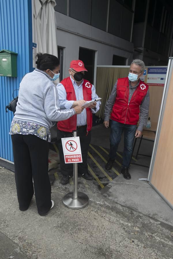 El reparto de alimentos de Cruz Roja de Córdoba, en imágenes