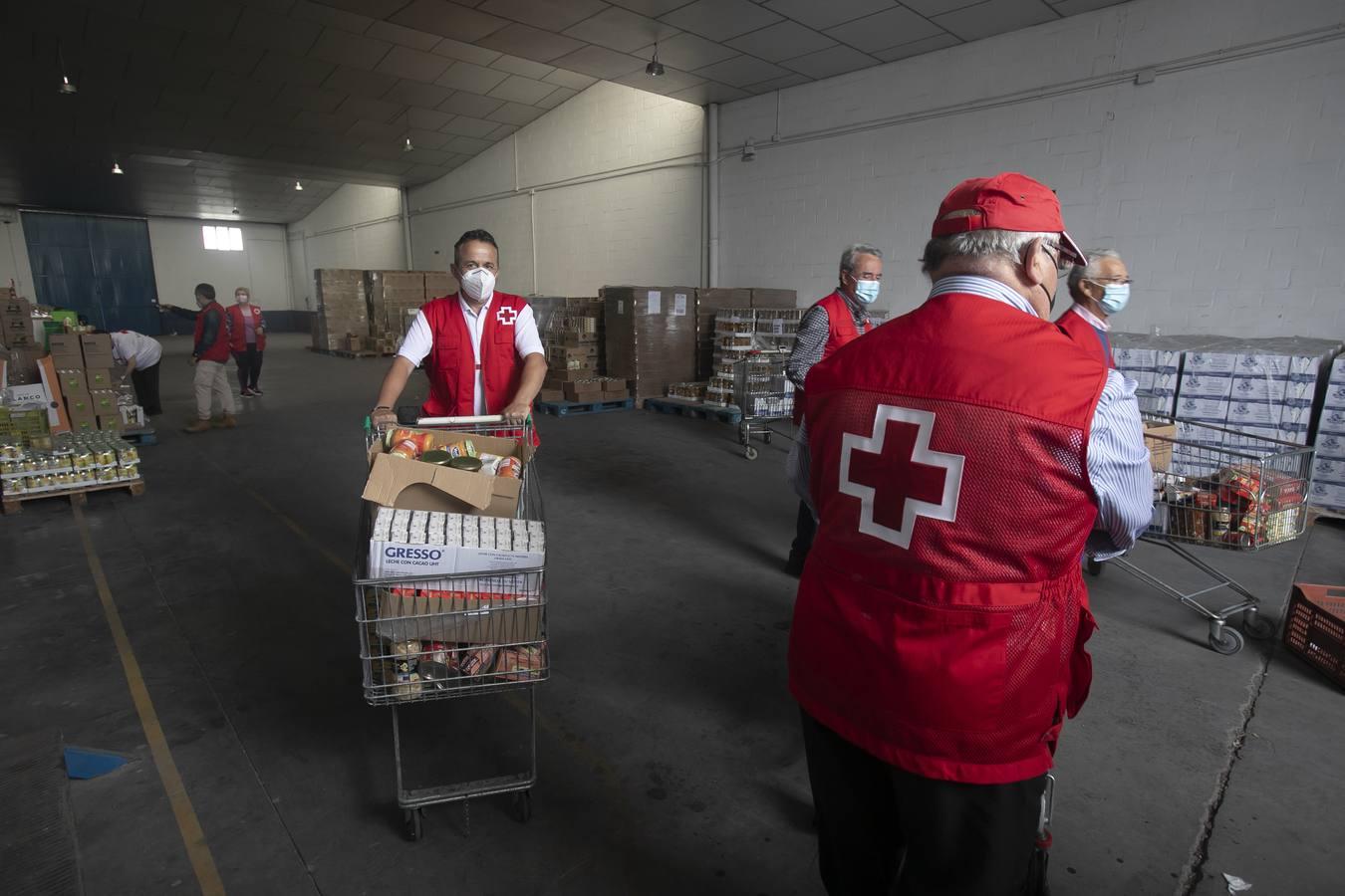 El reparto de alimentos de Cruz Roja de Córdoba, en imágenes