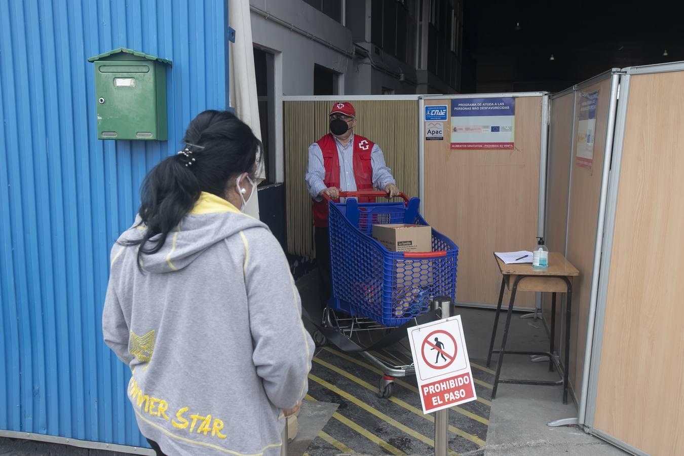 El reparto de alimentos de Cruz Roja de Córdoba, en imágenes