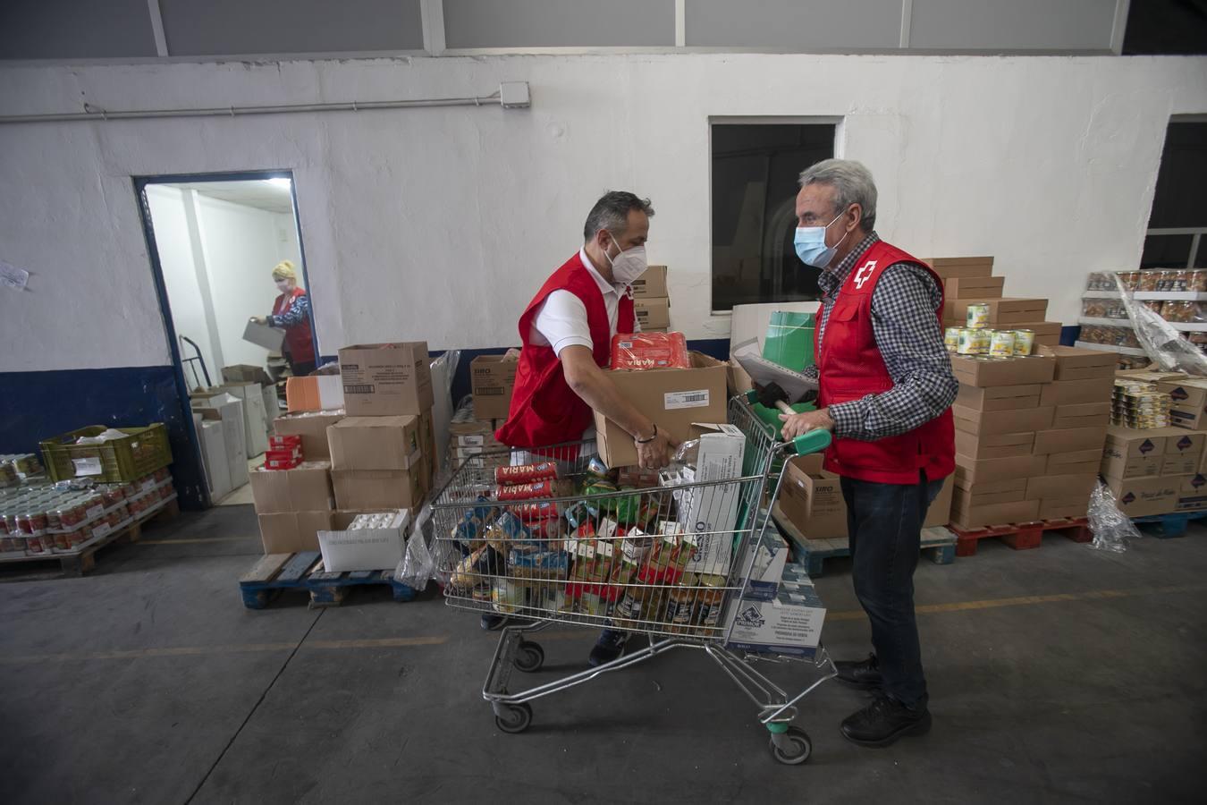 El reparto de alimentos de Cruz Roja de Córdoba, en imágenes