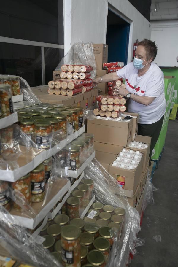 El reparto de alimentos de Cruz Roja de Córdoba, en imágenes