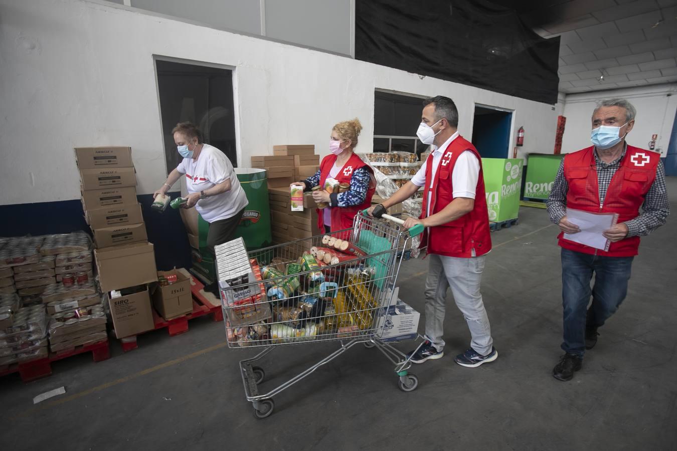 El reparto de alimentos de Cruz Roja de Córdoba, en imágenes