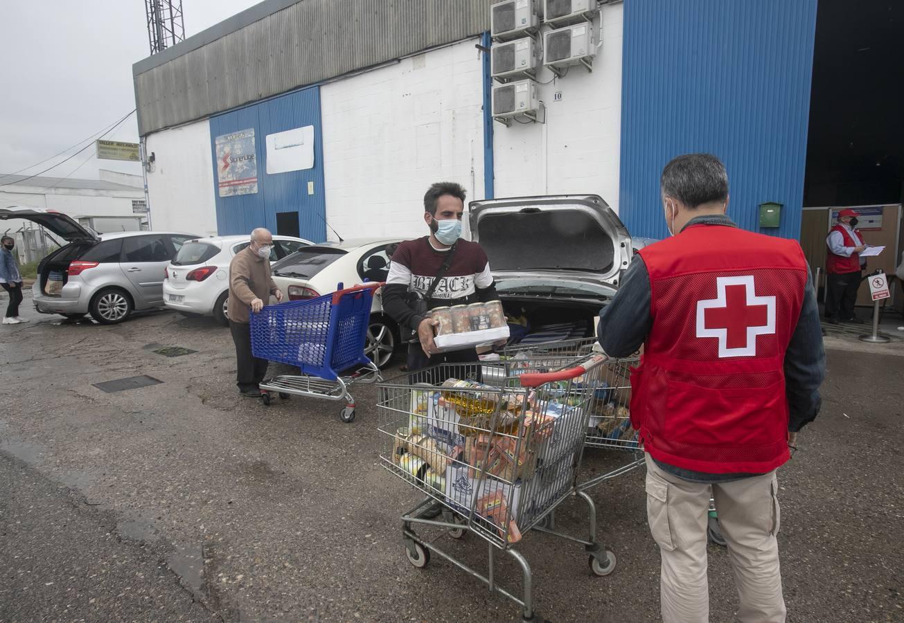 El reparto de alimentos de Cruz Roja de Córdoba, en imágenes