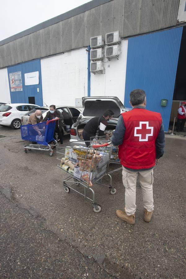 El reparto de alimentos de Cruz Roja de Córdoba, en imágenes