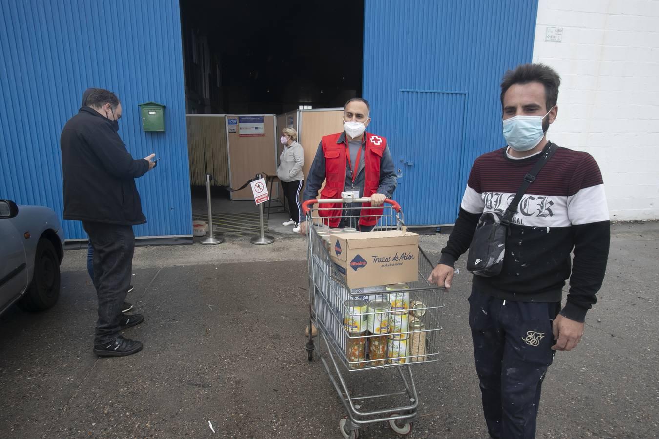 El reparto de alimentos de Cruz Roja de Córdoba, en imágenes