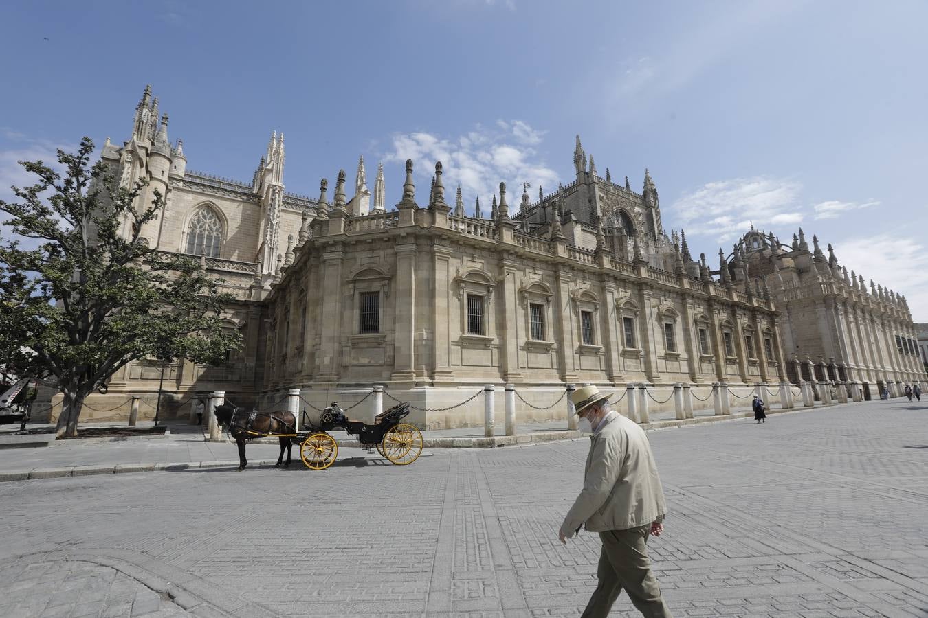 Los coches de caballos de Sevilla lanzan un SOS