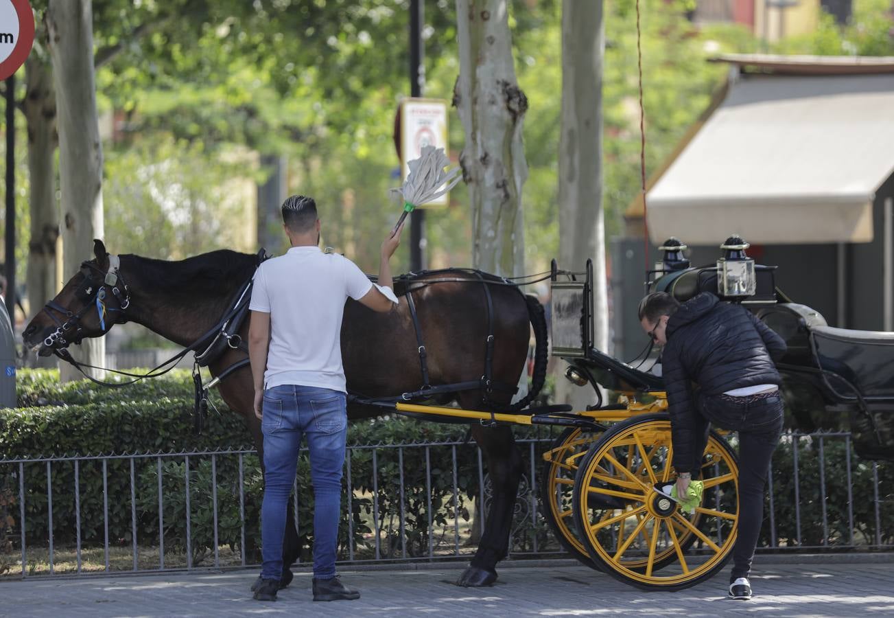 Los coches de caballos de Sevilla lanzan un SOS