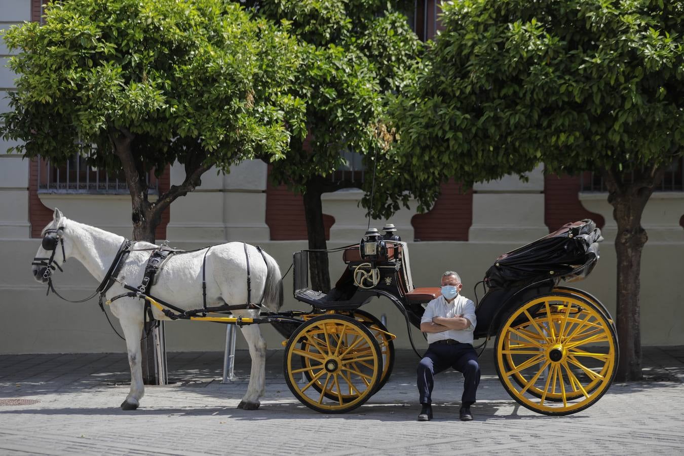 Los coches de caballos de Sevilla lanzan un SOS