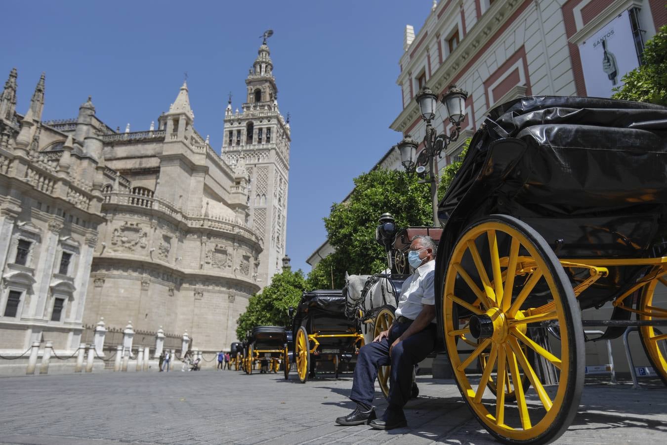 Los coches de caballos de Sevilla lanzan un SOS