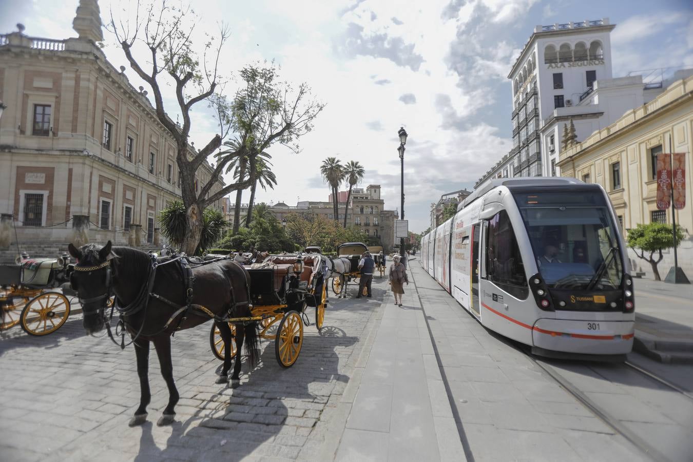 Los coches de caballos de Sevilla lanzan un SOS