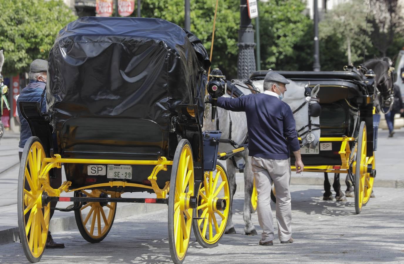 Los coches de caballos de Sevilla lanzan un SOS