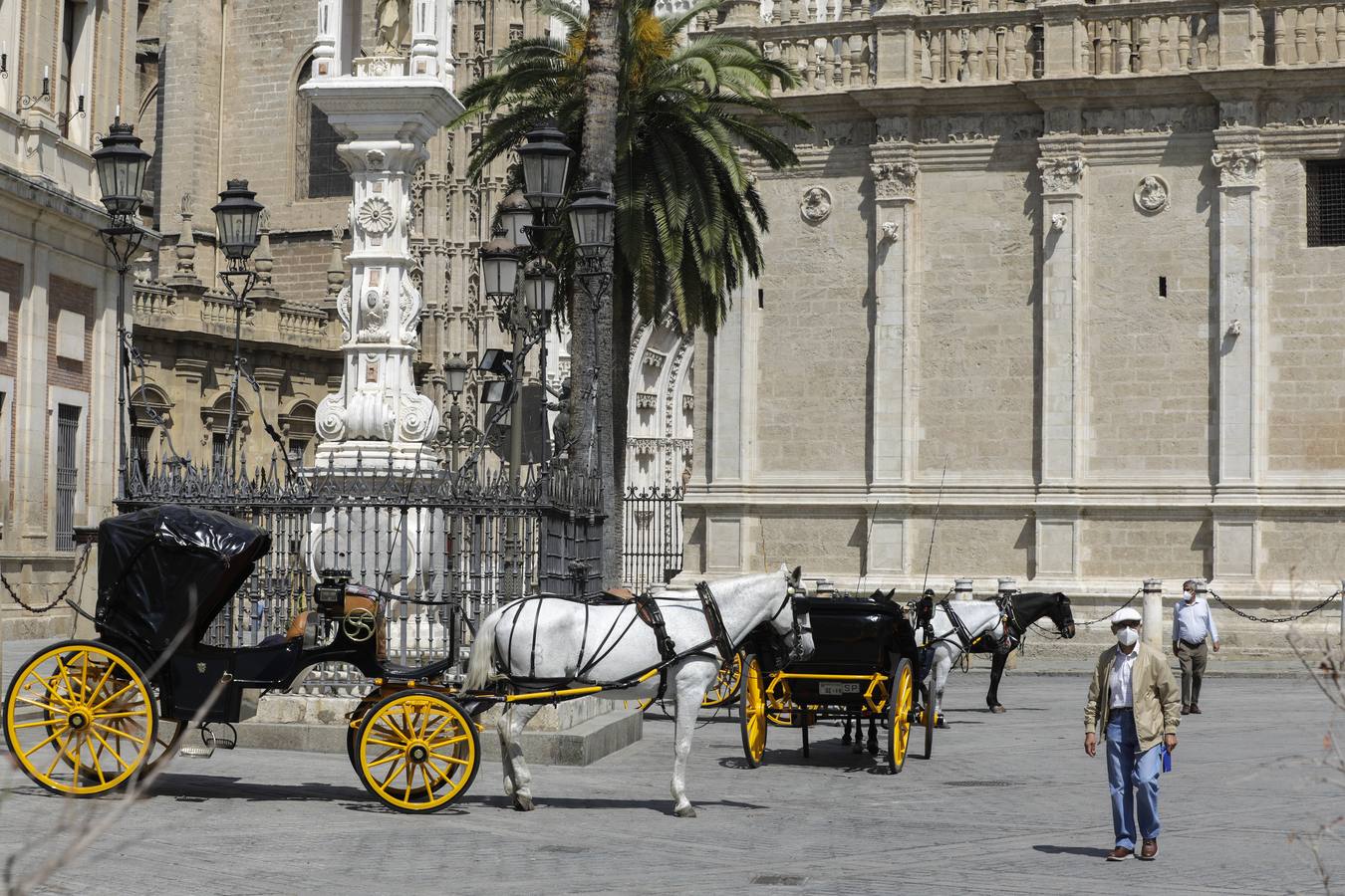 Los coches de caballos de Sevilla lanzan un SOS