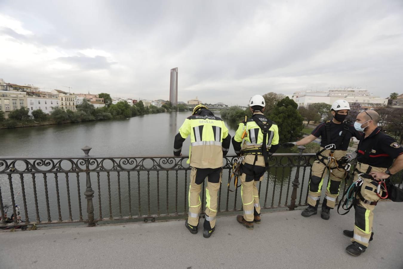 En fotos, la pancarta de Greenpeace en el puente de Triana, un BIC protegido