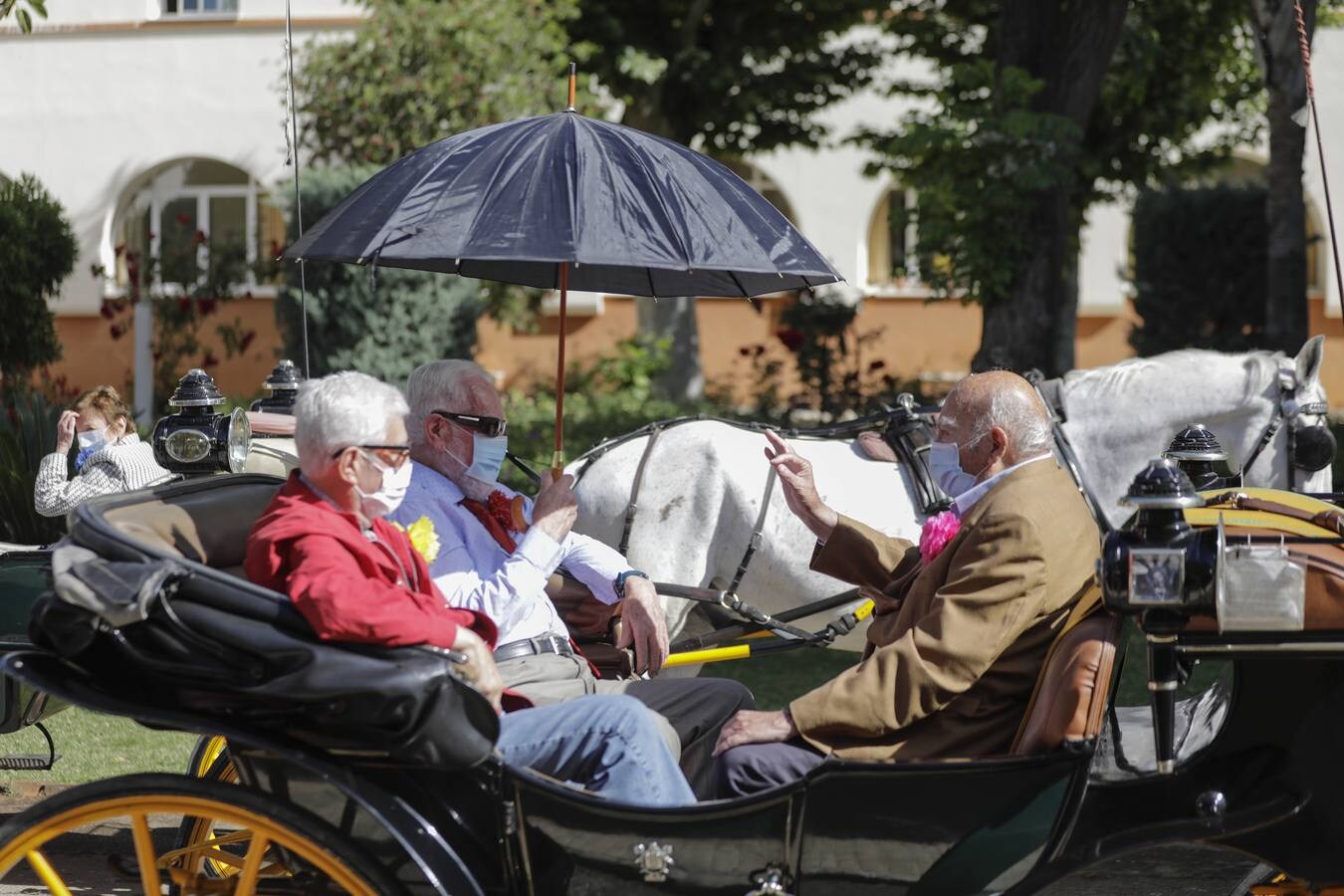 Paseo solidario en coche de caballos de ancianos de una residencia de Triana