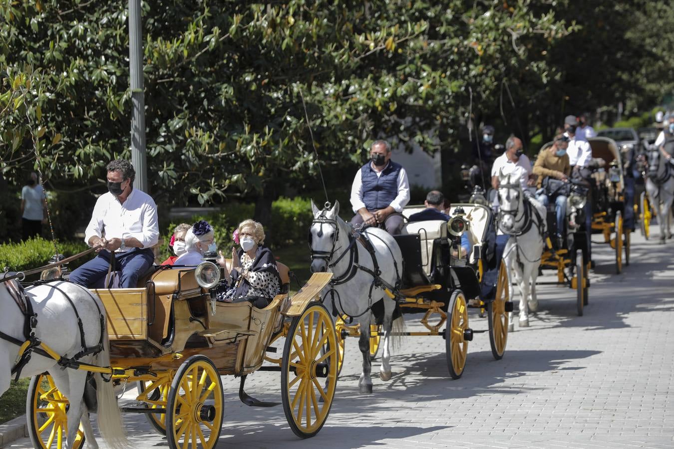 Paseo solidario en coche de caballos de ancianos de una residencia de Triana