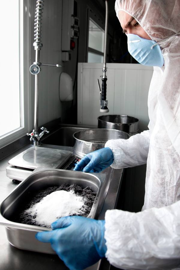 Distintas fases del proceso de elaboración del caviar de Río Frío